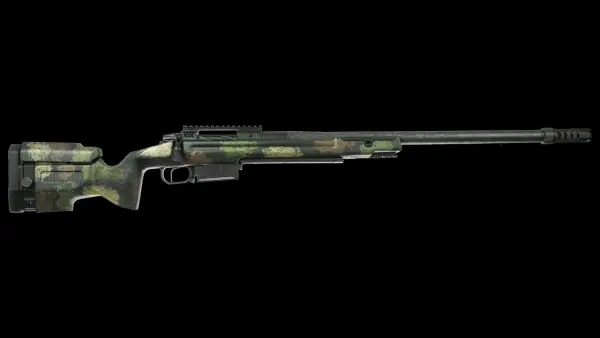 Divergence 22 Creedmoor Custom