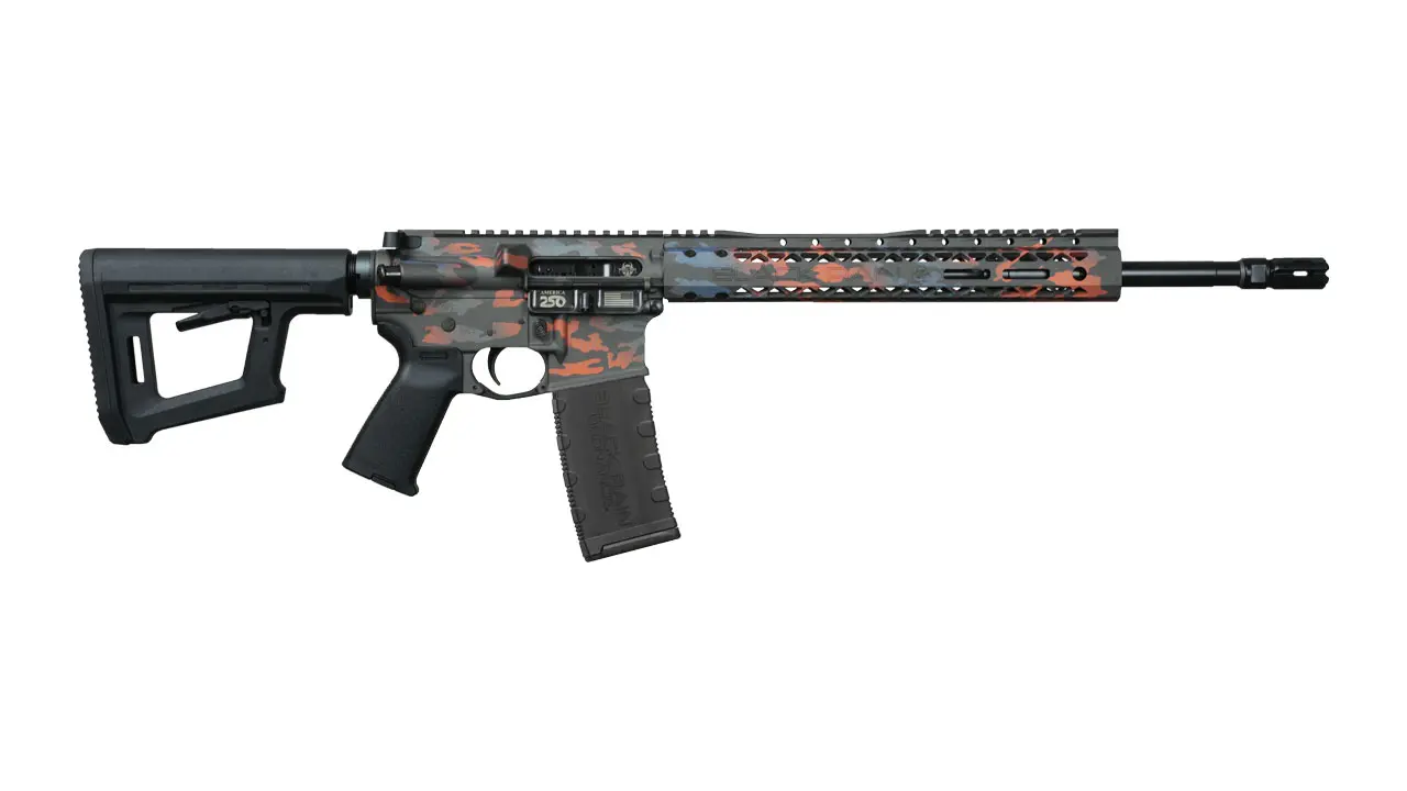 Blue Ridge AR15